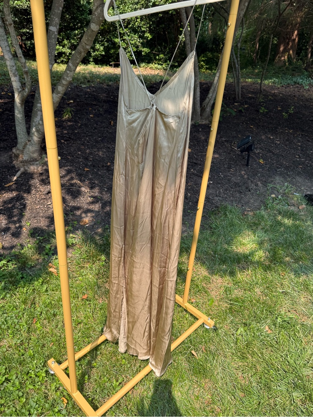 Bahhgoose Silk Slip Dress in Champagne - Picture 10 of 11